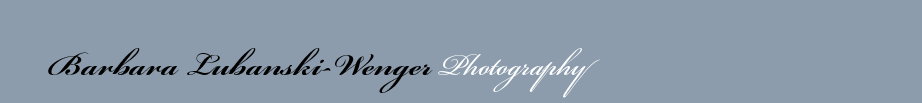 title_blw photography